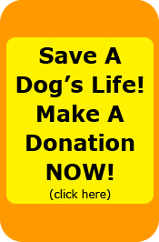 Save a Life